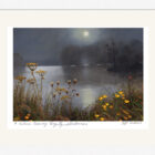 Lake District art framed print A Robin's Evening Song by Windermere by local artist Jeff Sudders in a white frame.