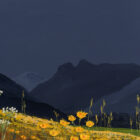 Lake District Art print A Langdale Meadow by local artist Jeff Sudders. Yellow buttercups with dark blue Langdale Pikes and sky.