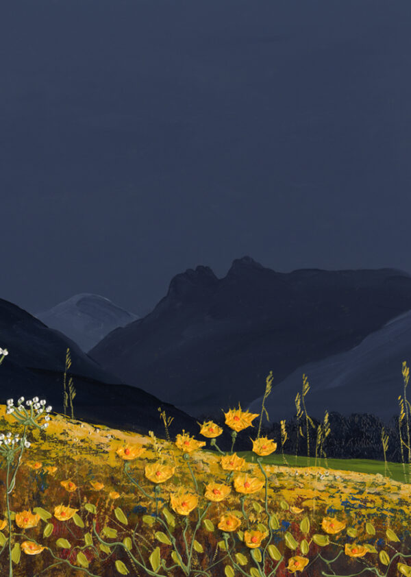 Lake District Art print A Langdale Meadow by local artist Jeff Sudders. Yellow buttercups with dark blue Langdale Pikes and sky.