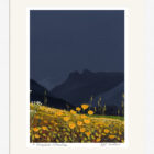 Lake District art framed print A Langdale Meadow by local artist Jeff Sudders in a white frame.