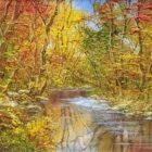lake district art original oil painting by terry evans an autumnal woodland scene alongside a gently flowing river with rich leaf colour