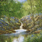 lake district art original oil painting by terry terence evans inspired by the lakes in spring with bluebells by a cascading river beck waterfall