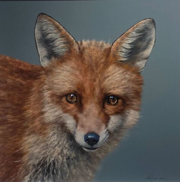 Fox, Lake District art an original oil painting by Stephen Park