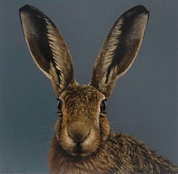 Hare Lake District art an original oil painting by Stephen Park