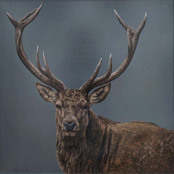 lake district art original painting of a stag with antlers photorealistic animal portrait original oil painting