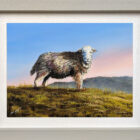 Lake District art original oil painting Herdwick by Ben Goymour in a grey frame with white slip.
