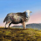 Lake District art original oil painting Herdwick by Ben Goymour of a Herdwick ewe standing on a fellside with pink and blue sky and mountain ridge in the distance.