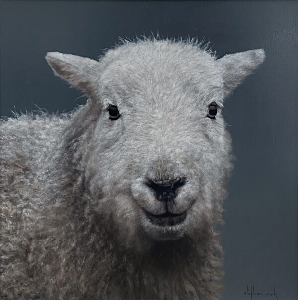 lake district art original oil painting photorealist portrait of a herdwick lamb sheep on a grey blue background with amazing detail and a smile