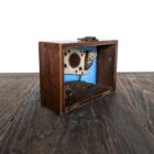 Original 3d artwork by Claire Brierley. Made from found driftwood and painted with acrylic