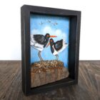 Original 3d artwork by Claire Brierley. Made from found driftwood and painted with acrylic