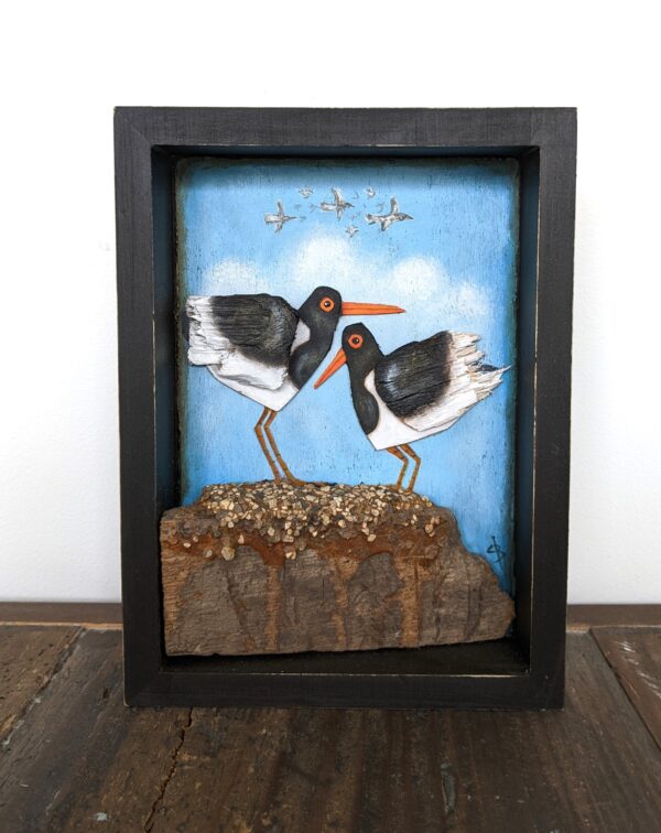 Oyster Catchers
