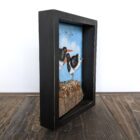 Original 3d artwork by Claire Brierley. Made from found driftwood and painted with acrylic