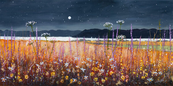 Lake District art by Jeff Sudders. Evening Sky over Windermere features a dark night sky with stars & mountain silhouettes below contrasting with the bright red flowers and field