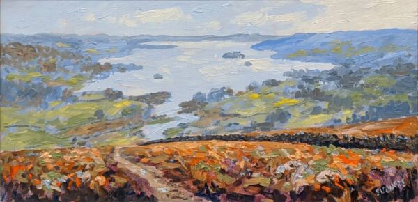 lake district art original oil painting by jeff sudders. windermere from todd crag impasto style overlooking waterhead islands and fells