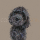 Limited Edition Print by Artist Nicky Litchfield