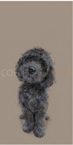 Limited Edition Print by Artist Nicky Litchfield
