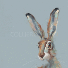 Limited Edition Print by Artist Nicky Litchfield