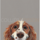 Limited Edition Print by Artist Nicky Litchfield