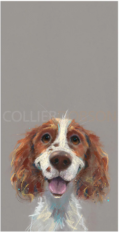 Happy Go Lucky By Nicky Litchfield Limited Edition Print by Artist Nicky Litchfield