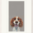 Limited Edition Print by Artist Nicky Litchfield