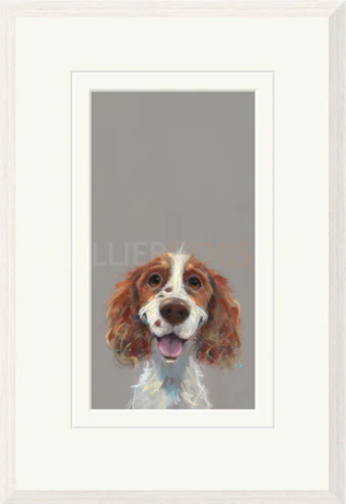 Limited Edition Print by Artist Nicky Litchfield
