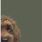 Limited Edition Print by Artist Nicky Litchfield