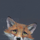 Limited Edition Print by Artist Nicky Litchfield