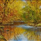 lake district art original oil painting textured oil landscape by terry evans beautiful countryside scene of a stream through woodland with orange red autumn leaves