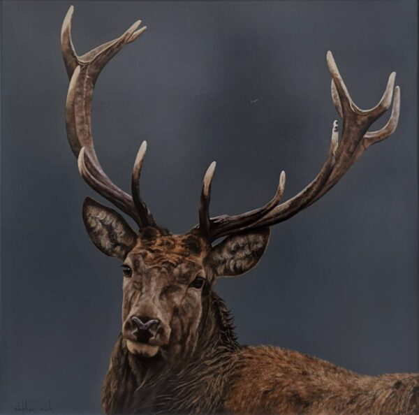 Lake District art original oil painting Stag by Stephen Park of a majestic stag with a dark blue background painted in a realist style.