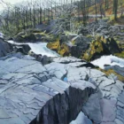 Art print by Lake District artist Libby Edmondson Near Skelwith Force in Ambleside