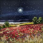 Lake District art by Jeff Sudders. Moonlit Meadow an original oil painting featuring a dark starry sky and mountain silhouettes contrasting with the red flower field and lake
