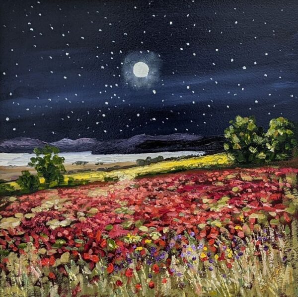 Lake District art by Jeff Sudders. Moonlit Meadow an original oil painting featuring a dark starry sky and mountain silhouettes contrasting with the red flower field and lake