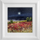 Lake District art by Jeff Sudders. Moonlit Meadow an original oil painting featuring a dark starry sky and mountain silhouettes contrasting with the red flower field and lake