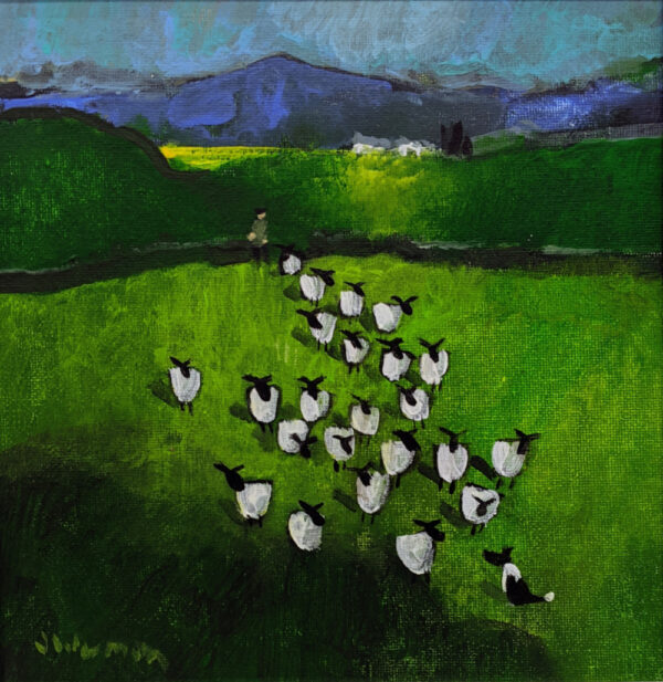 Lake District art by David Alderman. An acrylic painting of a flock of sheep shepherd sheepdog collie showing green summer fields with stone walls mountains in a colourful contemporary style.