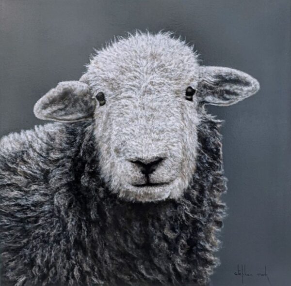 Herdwick Lamb Lake District art an original oil painting by Stephen Park. A traditional life like animal portrait in great detail by wildlife artist