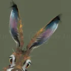 Limited Edition Print by British Artist Nicky Litchfield. Hugo featuring an orange brown hare on a greeny brown background