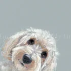 Limited Edition Print by British Artist Nicky Litchfield. Don't Forget Me a contemporary dog portrait of a