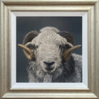 Herdwick Ram Lake District art an original oil painting by Stephen Park. A traditional life like animal portrait in great detail by wildlife artist