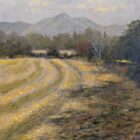 Lake District art by Jeff Sudders. Oil painting This Mornings Walk - Cut Meadows near Ambleside. featuring a mowed yellow meadow under a blue sky and distant mountains near windermere