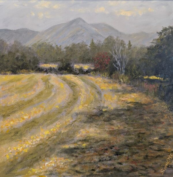 Lake District art by Jeff Sudders. Oil painting This Mornings Walk - Cut Meadows near Ambleside. featuring a mowed yellow meadow under a blue sky and distant mountains near windermere