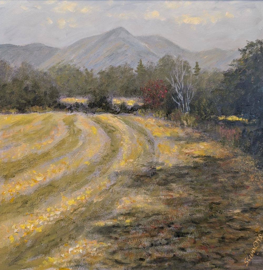 This Mornings Walk - Cut Meadows near Ambleside by Jeff Sudders Lake District art by Jeff Sudders. Oil painting This Mornings Walk - Cut Meadows near Ambleside. featuring a mowed yellow meadow under a blue sky and distant mountains near windermere