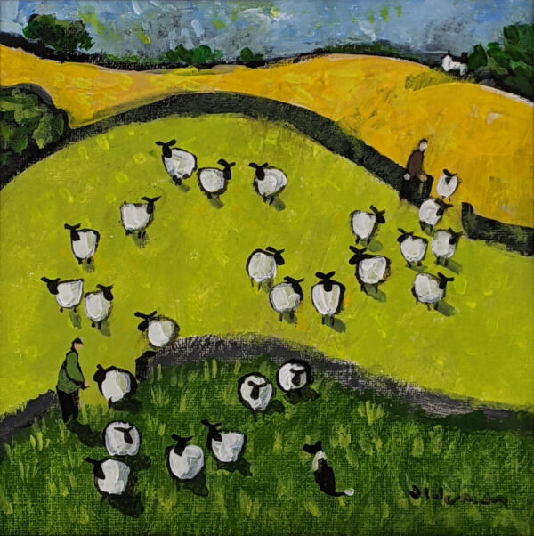Lake District art by David Alderman. An acrylic painting of a flock of sheep shepherd sheepdog collie showing green summer fields with stone walls mountains in a colourful contemporary style.