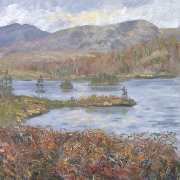 Lake District art print Tarn Hows & Wetherlam by Jeff Sudders featuring an Autumn landscape near Coniston and Hawkshead