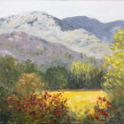 lake district art original oil painting by local artist Jeff Sudders. Wetherlam fell from birdhouse meadow ambleside box canvas