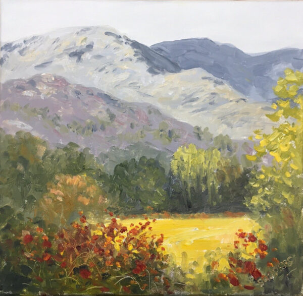lake district art original oil painting by local artist Jeff Sudders. Wetherlam fell from birdhouse meadow ambleside box canvas