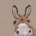 Limited Edition Print by British Artist Nicky Litchfield. Elevenses featuring a donkey on a brown beige background