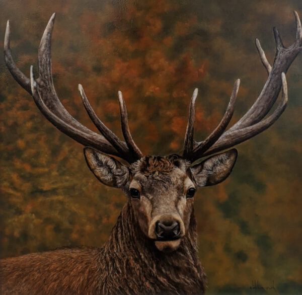 Lake District art original oil painting Stag by Stephen Park of a majestic stag with a dappled warm brown background painted in a realist style.