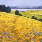 Lake District art original oil painting Fields of Gold by Jeff Sudders of yellow buttercup fields drawing the eye to the lake and mountains beyond.