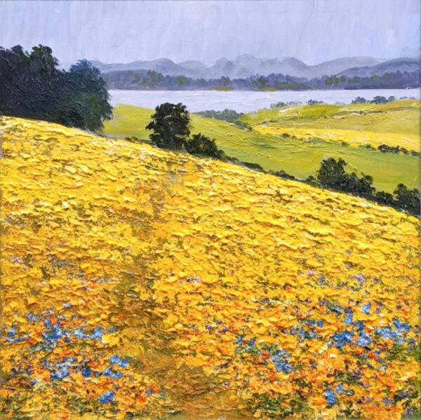 Lake District art original oil painting Fields of Gold by Jeff Sudders of yellow buttercup fields drawing the eye to the lake and mountains beyond.