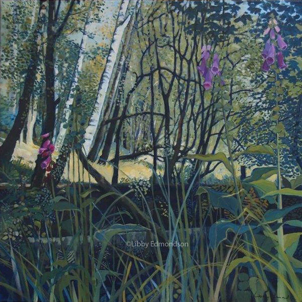 Foxgloves in Tarn Howes Woods by Libby Edmondson Art print by Lake District artist Libby Edmondson of Foxgloves in Tarn Howes Woods 2009 a sunny summer woodland scene with lush foliage and wildflowers
